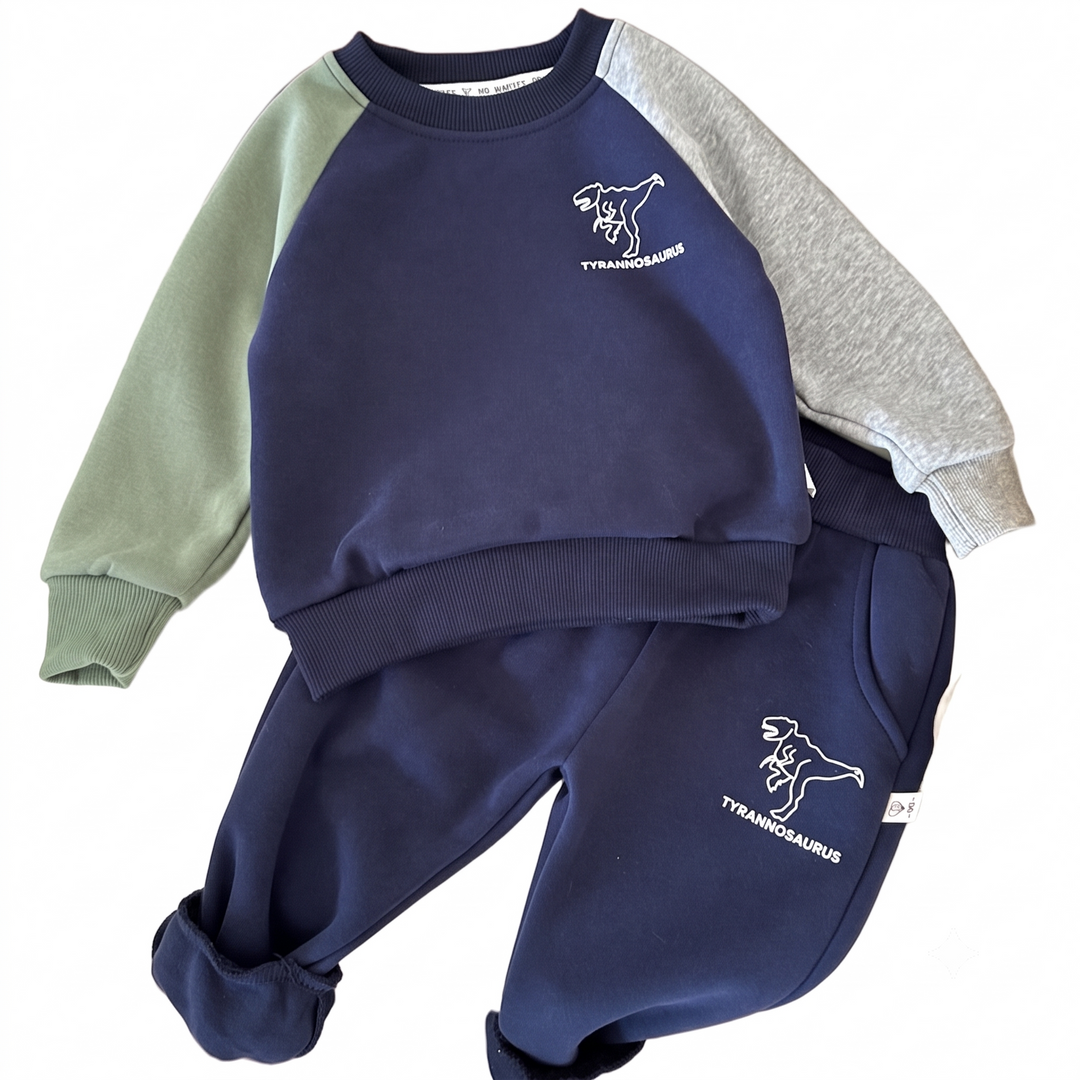 Sweatshirt & Pant Set