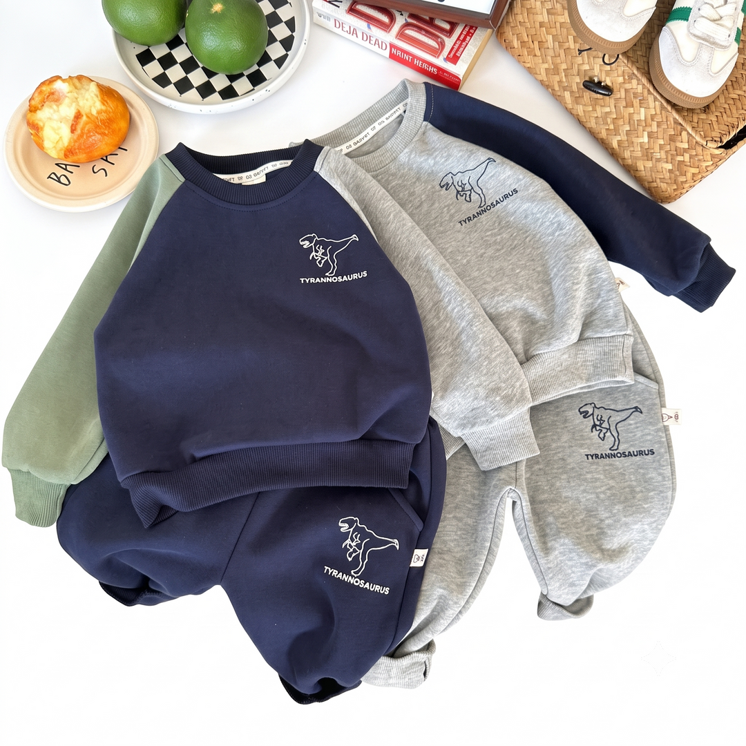 Sweatshirt & Pant Set