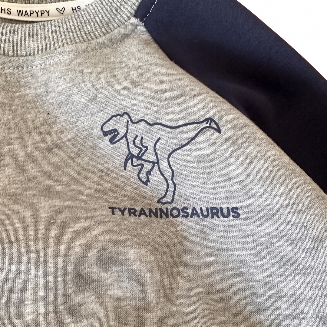 Kids Dinosaur Sweatshirt &amp; Trackpants Set – Soft Cotton Blend Long-Sleeve Sports Suit, Colorblock Fall &amp; Winter Loungewear for Boys &amp; Girls