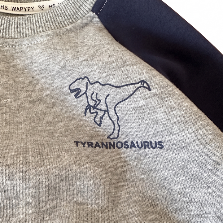 Kids Dinosaur Sweatshirt &amp; Trackpants Set – Soft Cotton Blend Long-Sleeve Sports Suit, Colorblock Fall &amp; Winter Loungewear for Boys &amp; Girls